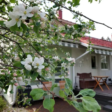 Semi-detached House With Sauna
